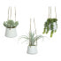 Decorative Plant 800073 Succulent 20 cm For hanging Artificial