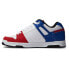 Фото #4 товара DC SHOES Stag Trainers