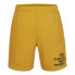 O´NEILL Future Surf shorts