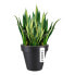 Plant pot Elho 8403604042500 Anthracite Ø 40 cm