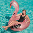 Фото #4 товара BESTWAY Flamingo 165x117 cm Float
