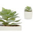 Декоративное растение сочный Пластик 14 x 13,5 x 14 cm (12 штук)