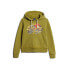 Фото #3 товара SUPERDRY Tokyo Vl Graphic hoodie