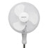 Freestanding Fan Ravanson WT-1045S White 45 W