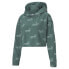 Фото #3 товара Puma Amplified Lightweight Pullover Hoodie Womens Green Casual Athletic Outerwea