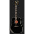 Фото #2 товара Gibson Hummingbird Custom