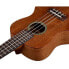 Фото #4 товара Cordoba 20CM Concert Ukulele