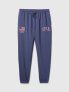 Фото #4 товара Team USA Joggers