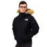 Фото #6 товара THE NORTH FACE Stover jacket