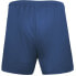 Фото #4 товара Joma Short Treviso shorts 100822.331