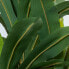 Decorative Plant Alexandra House Living Plastic Dracaena 160 cm