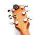 Фото #8 товара Гитара Daddario PW-CT-12 Micro Headstock Tuner