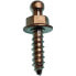 GOLDENSHIP Fast Snap Fibric Glass Wood Screw 4 Units