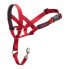 Dog Training Collars Company of Animals Halti Muzzle (46-62 cm)