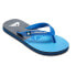 ფოტო #1 პროდუქტის QUIKSILVER Molokai Panel flip flops