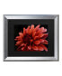 Фото #1 товара Kurt Shaffer Red Dhalia Matted Framed Art - 27" x 33"