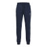 JACK & JONES Gordon Swift sweat pants