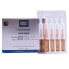 Фото #9 товара PLATINUM NIGHT RENEW ampoules 10 x 2 ml