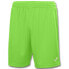 Фото #1 товара JOMA Nobel Shorts