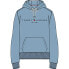 TOMMY HILFIGER Tommy Logo hoodie