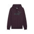 Фото #1 товара PUMA ESS Big Logo hoodie