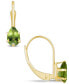 ფოტო #2 პროდუქტის Gemstone Leverback Earrings in 10K Yellow Gold