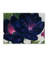 Фото #1 товара Georgia O'Keefe 'Black and Purple Petunias' Canvas Art - 19" x 14" x 2"
