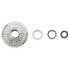 Фото #4 товара SHIMANO Altus HG201 cassette