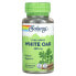 Фото #1 товара Solaray, True Herbs, белый дуб, 480 мг, 100 вегетарианских капсул