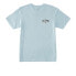 ფოტო #3 პროდუქტის BILLABONG Arch Fill short sleeve T-shirt