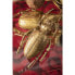Фото #8 товара Wandschmuck Longicorn Beetle