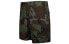 Nike SB Flex Shorts CK1103-222