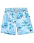 Endless Summer Volley Swim Short Men's