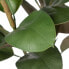 Фото #4 товара Декоративное растение полиэтилен Железо PEVA Дуб 76 cm