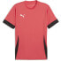 PUMA SELECT Individual short sleeve T-shirt