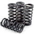 Фото #2 товара DP BRAKES HDS137-4 Honda CRF Clutch Spring Kit 4 units