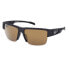 Black / Other / Brown Polarized