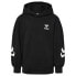 Фото #1 товара HUMMEL Due hoodie