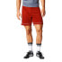 Фото #6 товара Adidas Squadra 17 M BJ9226 football shorts