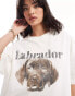 Фото #4 товара ASOS DESIGN boyfriend fit heavyweight t-shirt with labrador dog graphic in cream