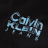 CALVIN KLEIN JEANS Bold Color Institutional hoodie