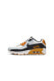 Air Max 90 LTR CD6864-023