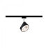 Фото #1 товара PAULMANN Arena - Rail lighting spot - LED - 14 W - 2700 K - 850 lm - Black - Chrome