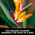 Фото #12 товара LEGO Creator Expert Bird of Paradise 10289 Adult Artificial Plants Flowers Gift Idea