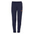 Фото #1 товара UHLSPORT Score Track pants