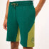 Фото #6 товара OAKLEY APPAREL Rings Mountain shorts