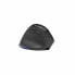 Фото #1 товара Trackball Bluestork ERGO LUMI