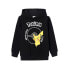 NAME IT Noscar Pokemon hoodie