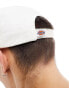 Dickies hardwick baseball cap in off white