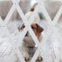 Фото #4 товара Ausziehbares Hundeabsperrgitter in Weiß